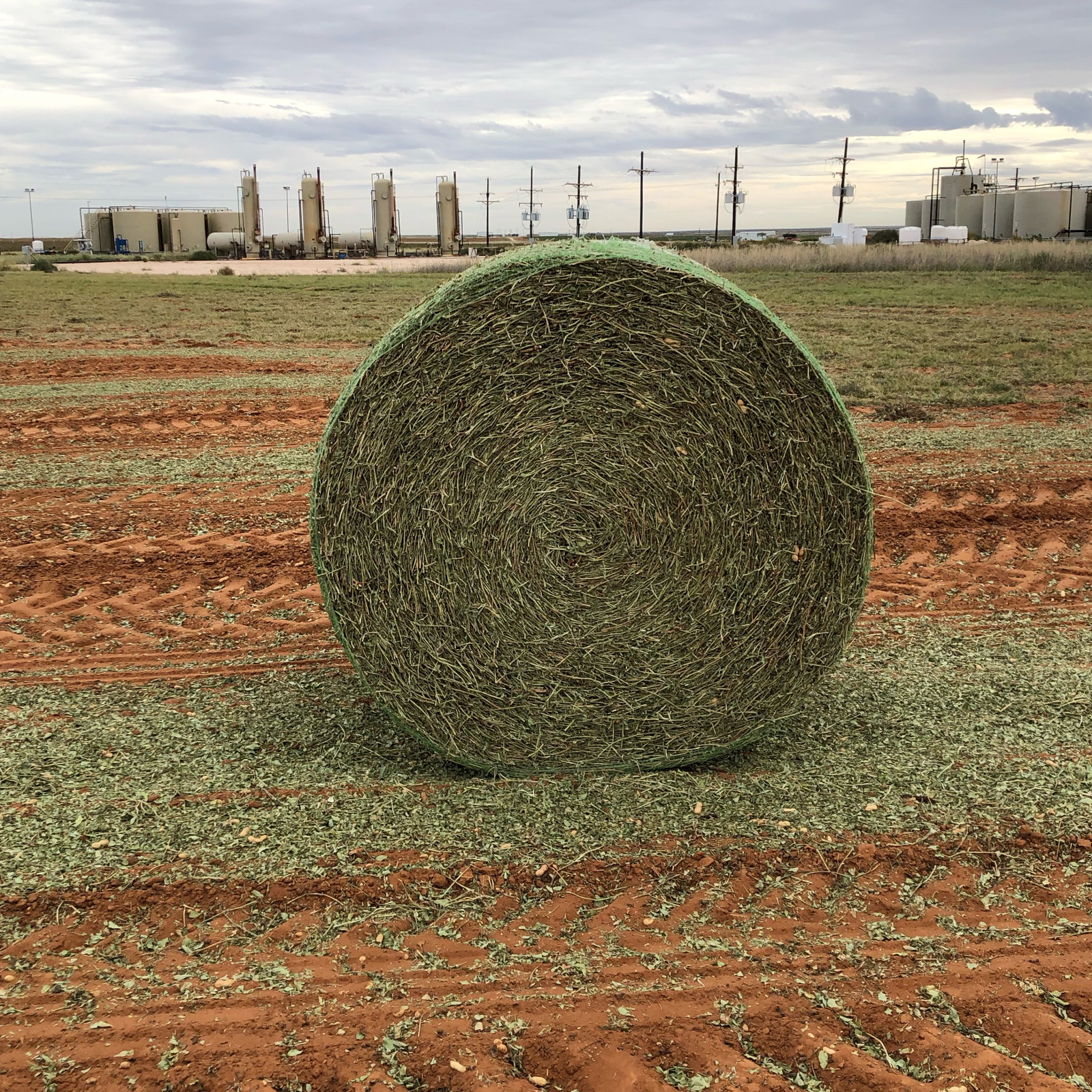 Peanut Straw