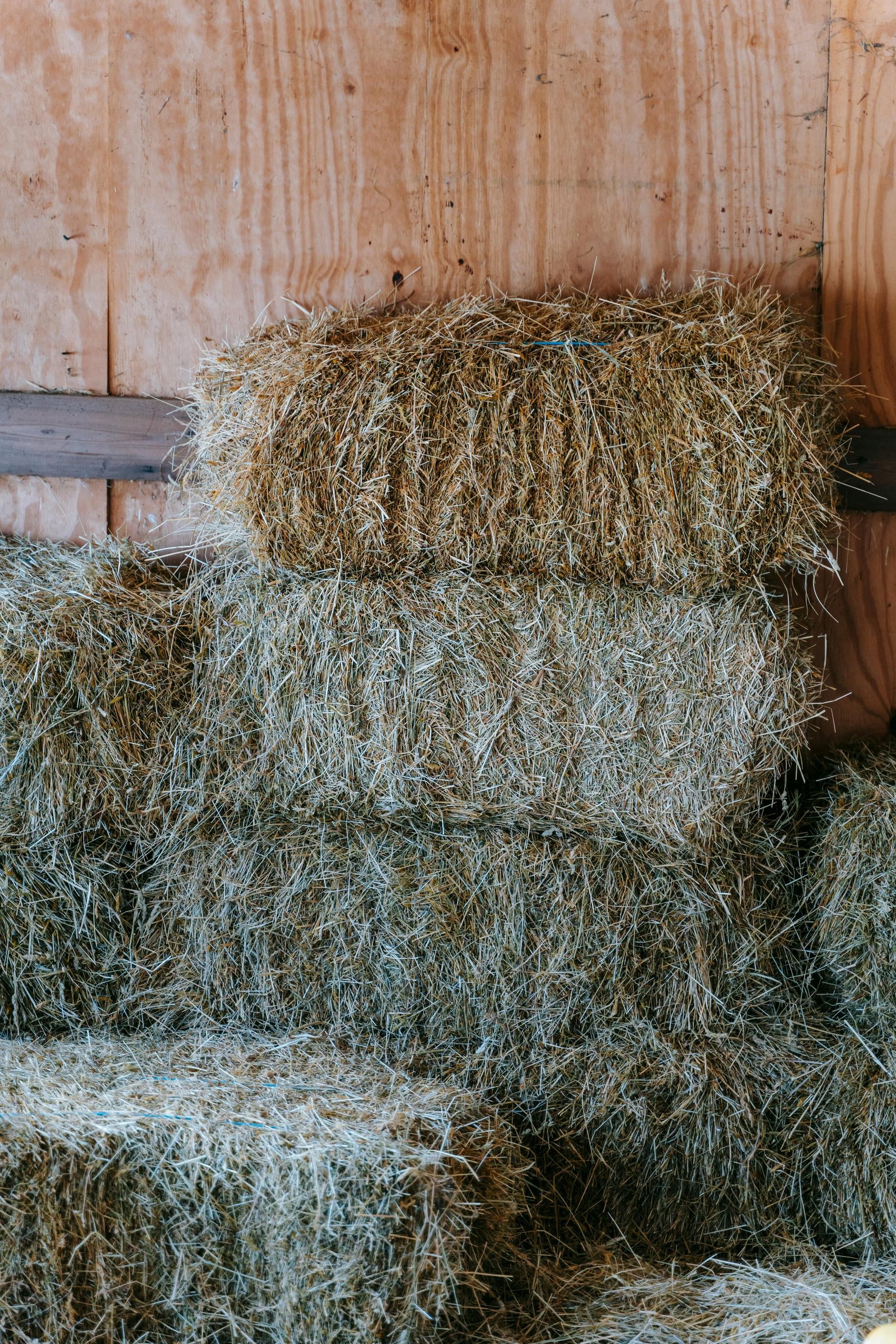 Farm Activity 3